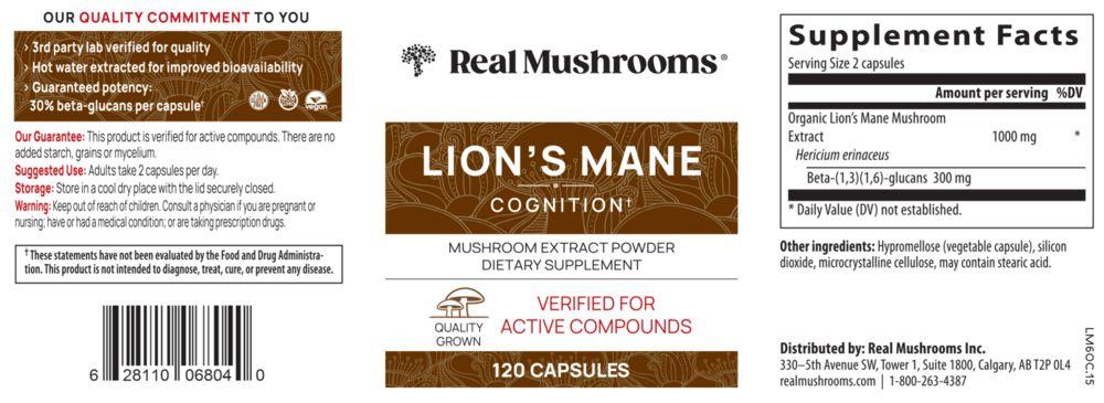 Lion's Mane Extract Capsules