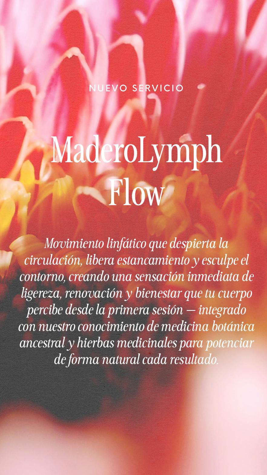 MaderoLymph Flow